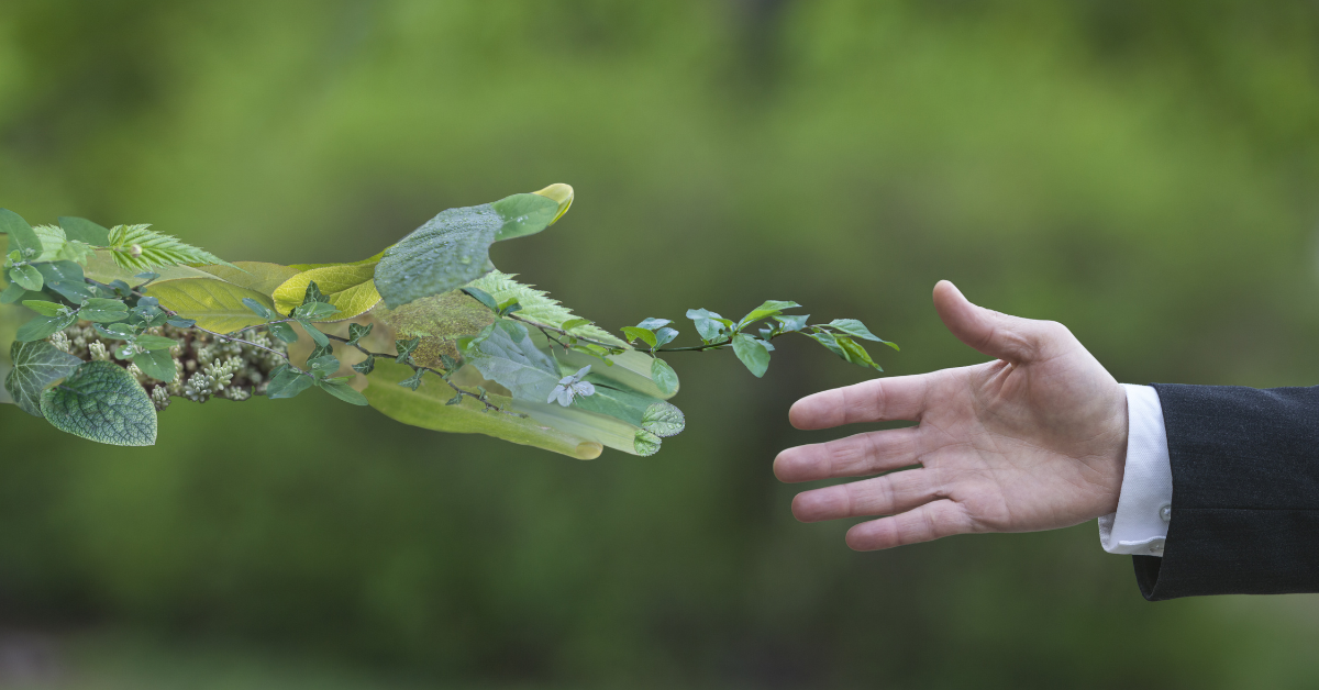 L’économie verte et high-tech est-elle une illusion ?